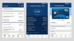 NavyFederal Bank Logs For Sale