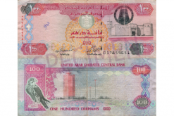 Buy Fake UAE Dirham Online